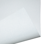 Toile polyester brillante | 058-B310